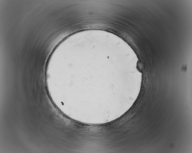 X0000115481087200912181204