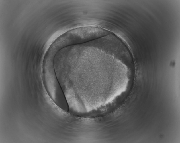 X0000115481088200912181204