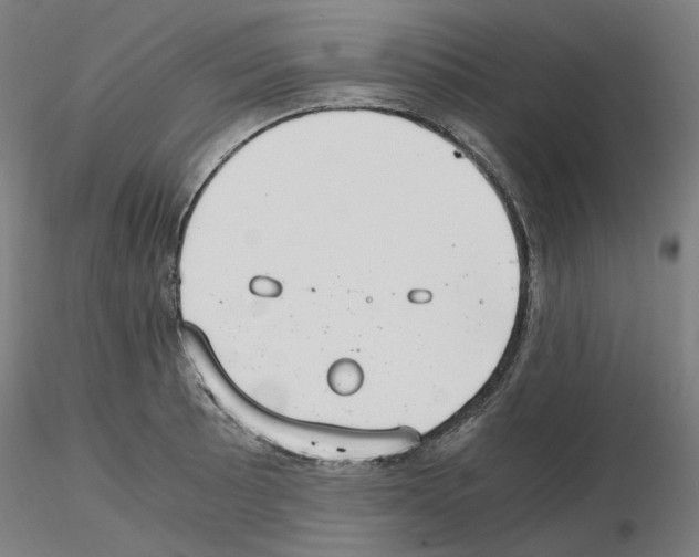 X0000115481089200912181204