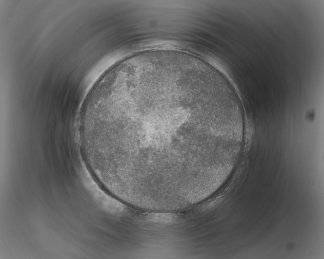 X0000115481090200912181204