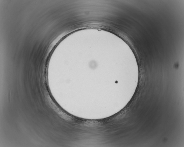 X0000115481091200912181204