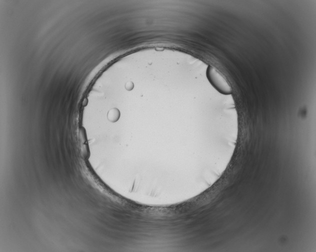 X0000115481092200912181204