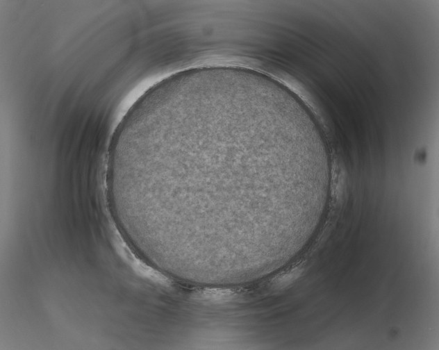 X0000115481094200912181203