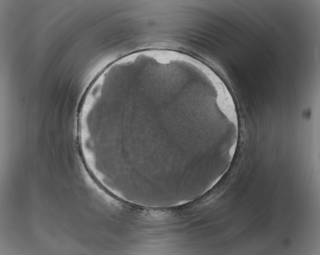 X0000115481095200912181203