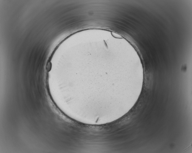 X0000115481096200912181203