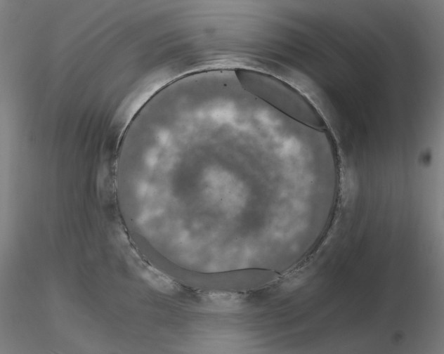 X0000115481097200912181203