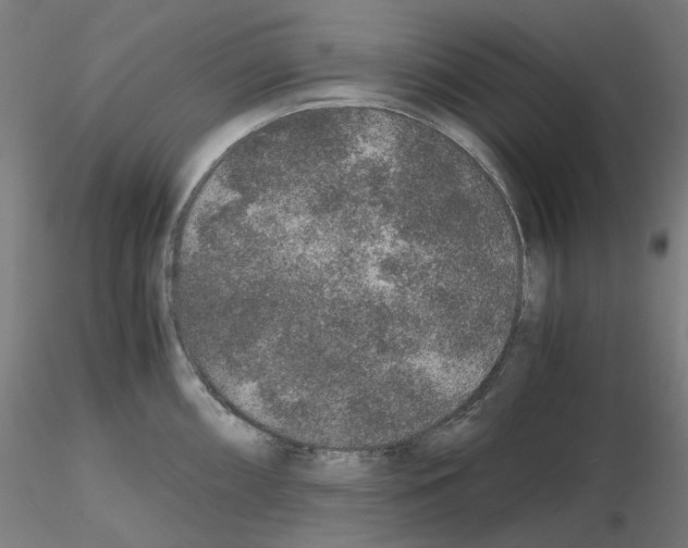 X0000115481098200912181203