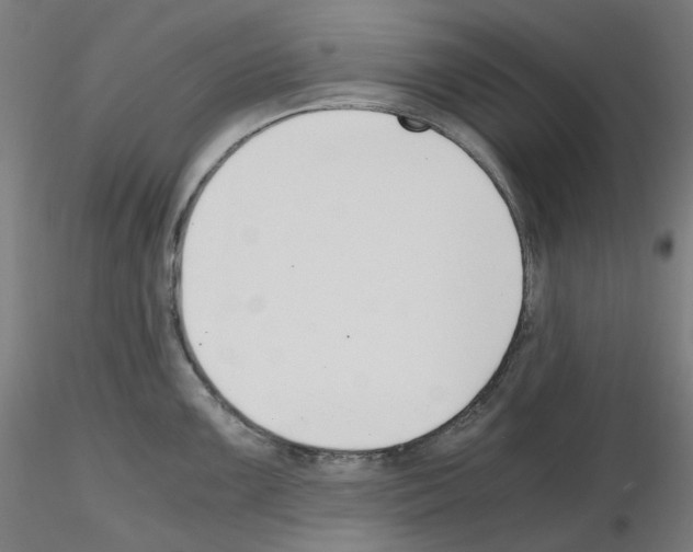 X0000115481099200912181203