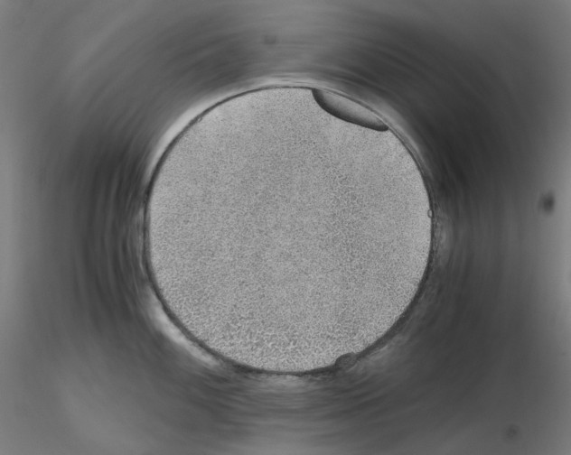 X0000115481100200912181203