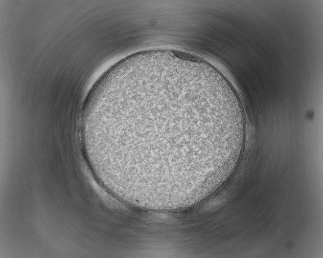 X0000115481101200912181203