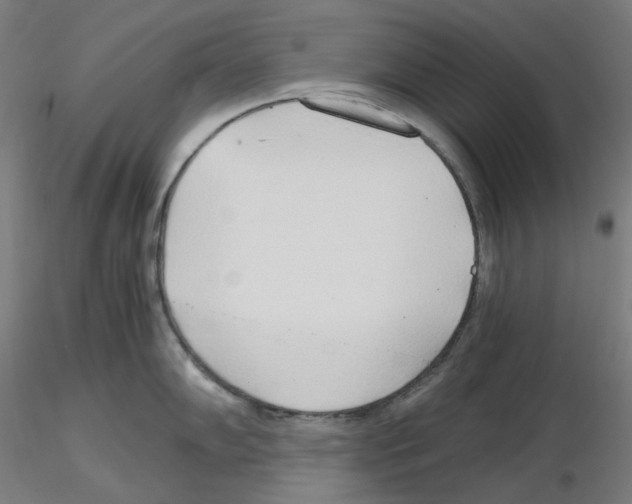 X0000115481102200912181203