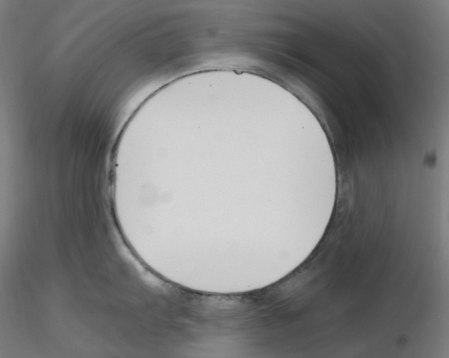 X0000115481103200912181203