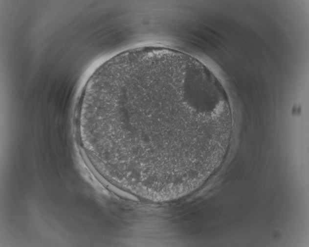 X0000115481104200912181203