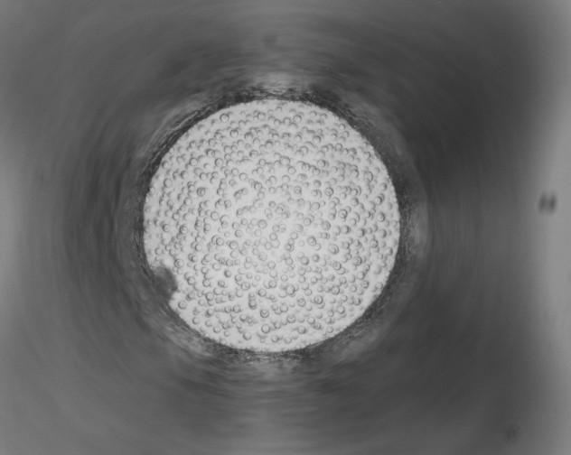 X0000115481105200912181203