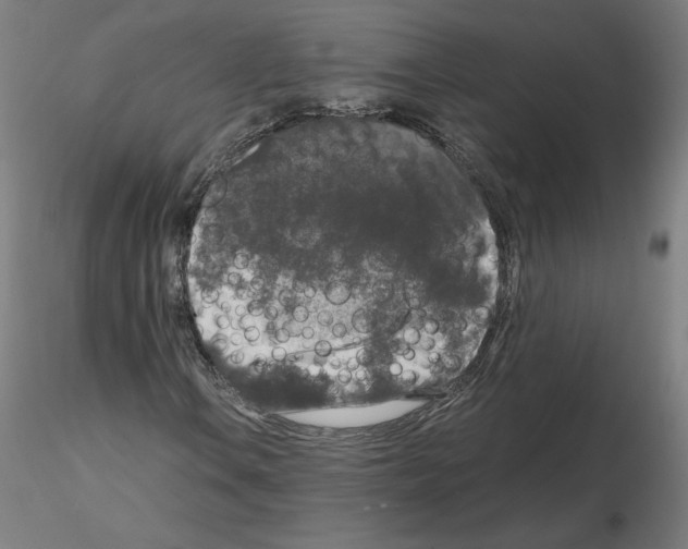 X0000115481106200912181203