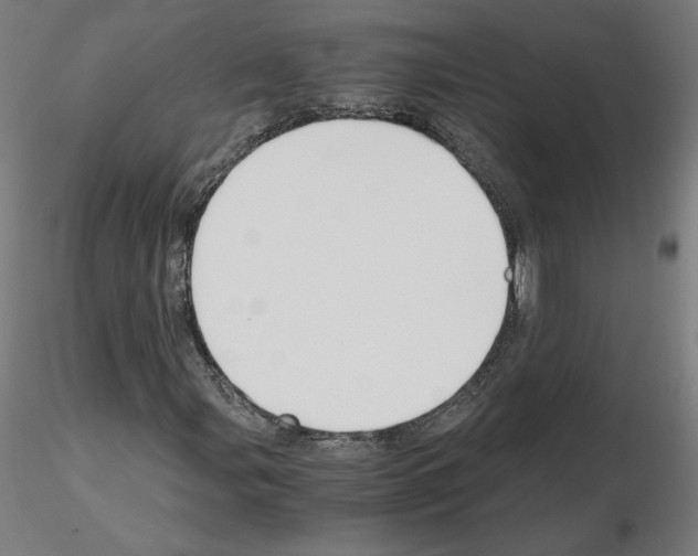 X0000115481107200912181203