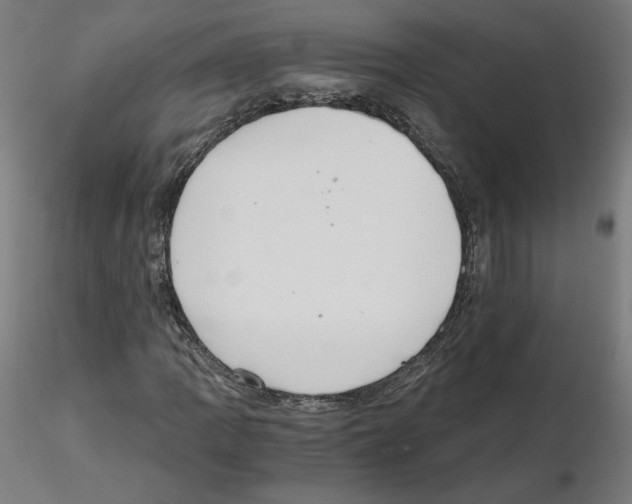 X0000115481109200912181203