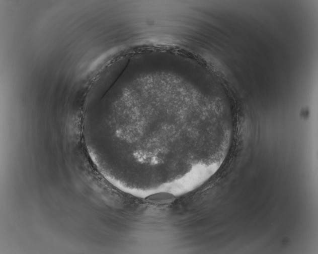 X0000115481110200912181203