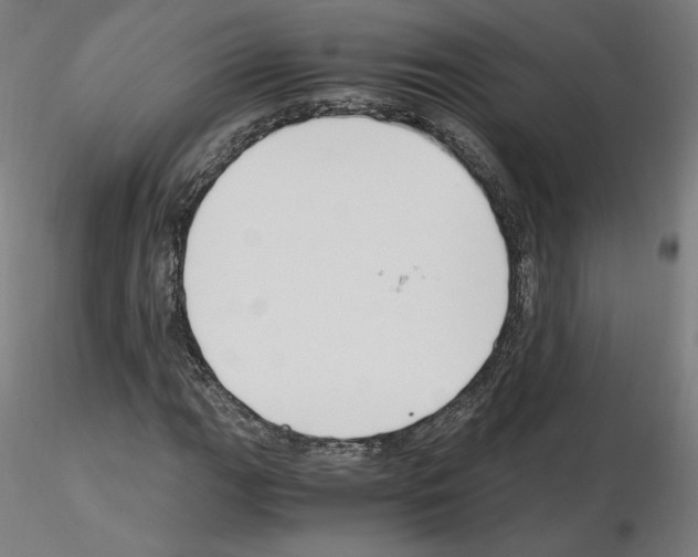 X0000115481111200912181203