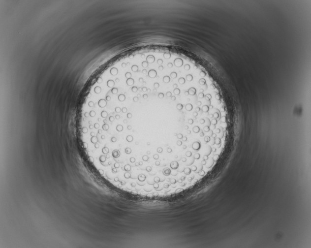 X0000115481113200912181203
