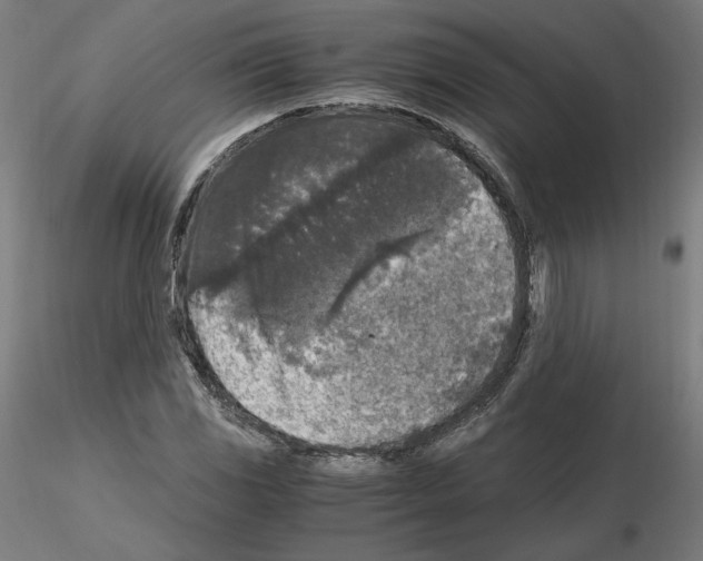 X0000115481117200912181203