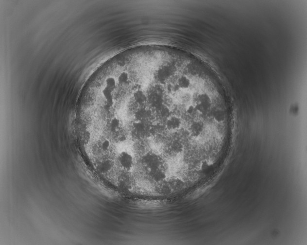 X0000115481121200912181203