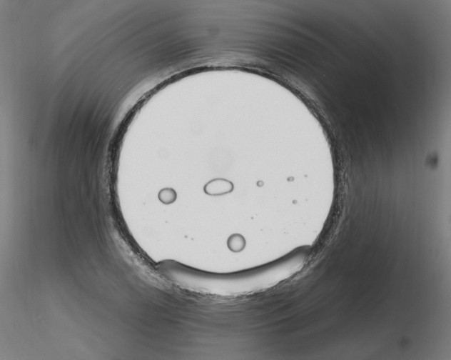 X0000115481122200912181203