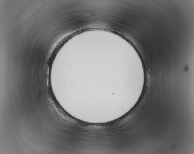 X0000115481123200912181203