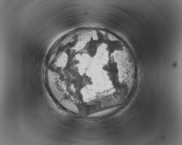 X0000115481125200912181203