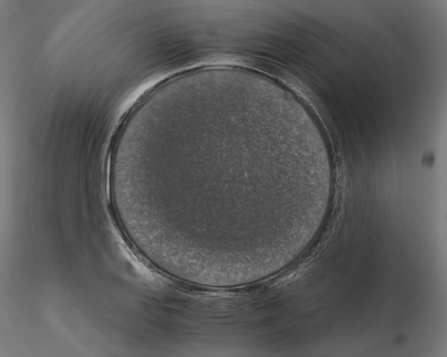 X0000115481127200912181203