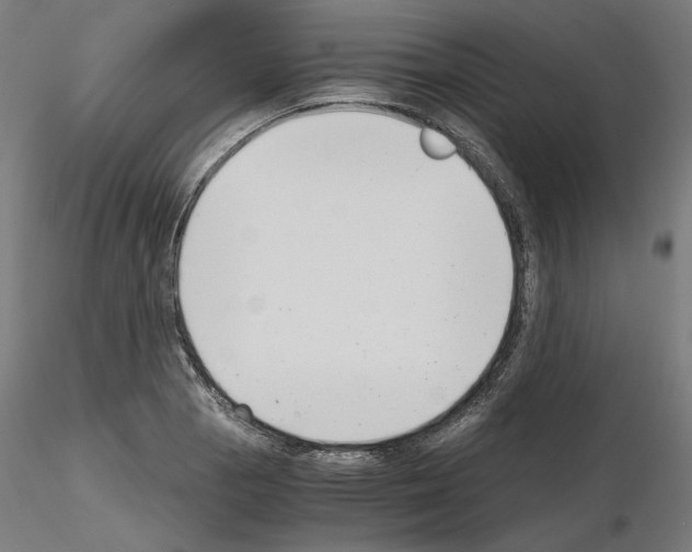 X0000115481129200912181203