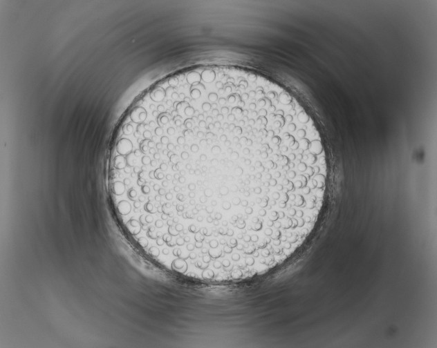 X0000115481130200912181203