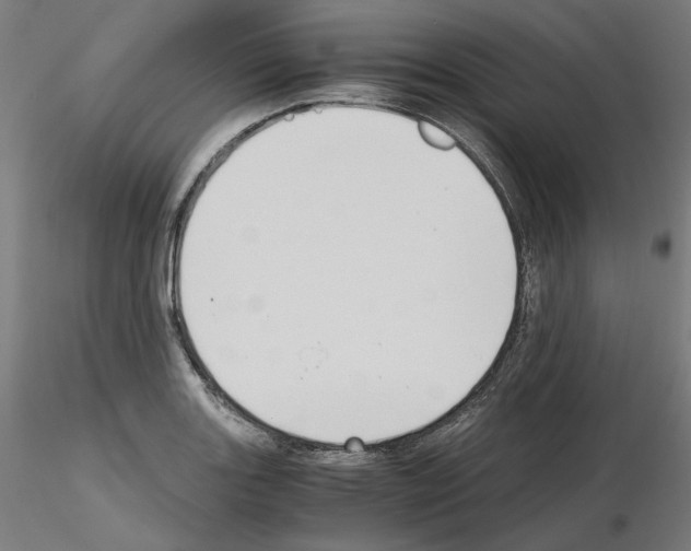 X0000115481131200912181203