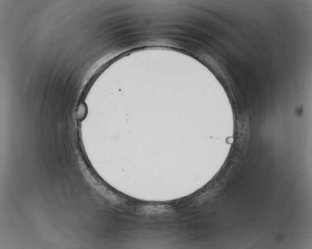 X0000115481133200912181203