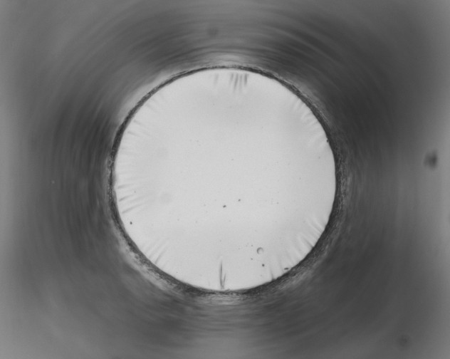 X0000115481134200912181203