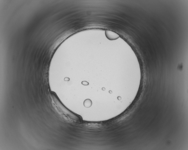 X0000115481137200912181203