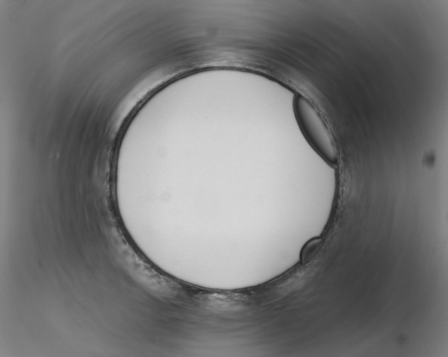 X0000115481138200912181203
