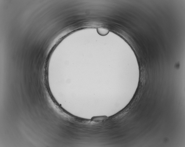 X0000115481139200912181203
