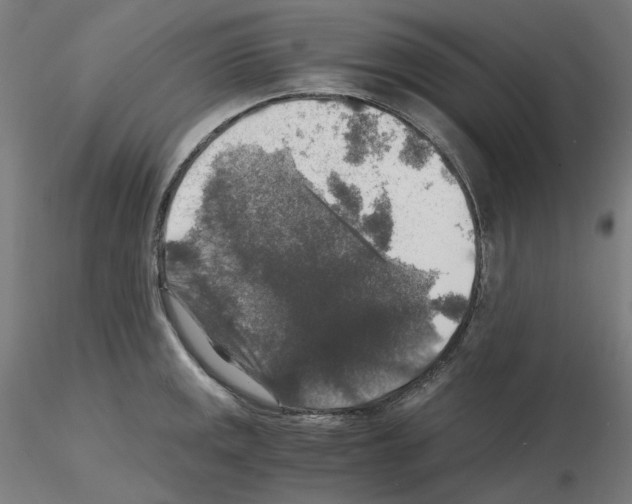 X0000115481141200912181203