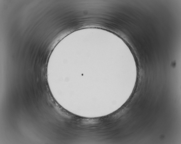 X0000115481145200912181203
