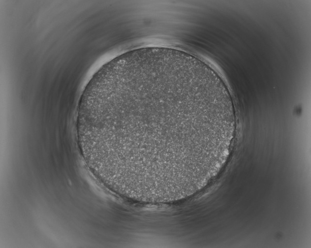X0000115481146200912181203