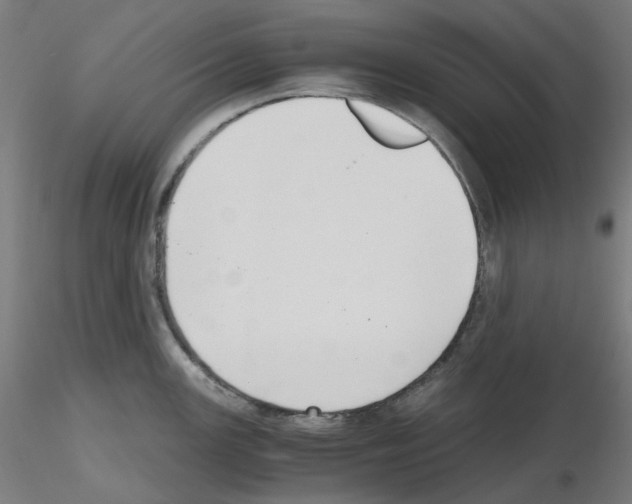 X0000115481147200912181203