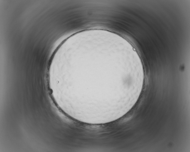 X0000115481149200912181203