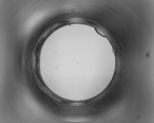 X0000115481151200912181203