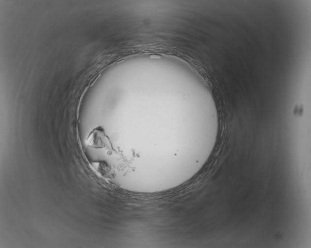 X0000115481153200912181202