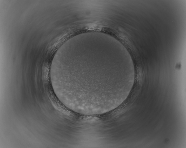 X0000115481154200912181202
