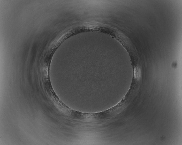 X0000115481155200912181202