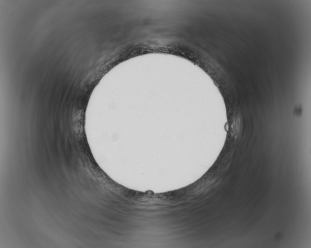 X0000115481156200912181202