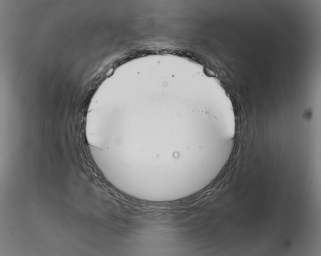 X0000115481157200912181202