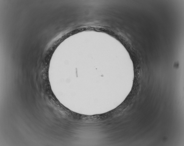 X0000115481159200912181202